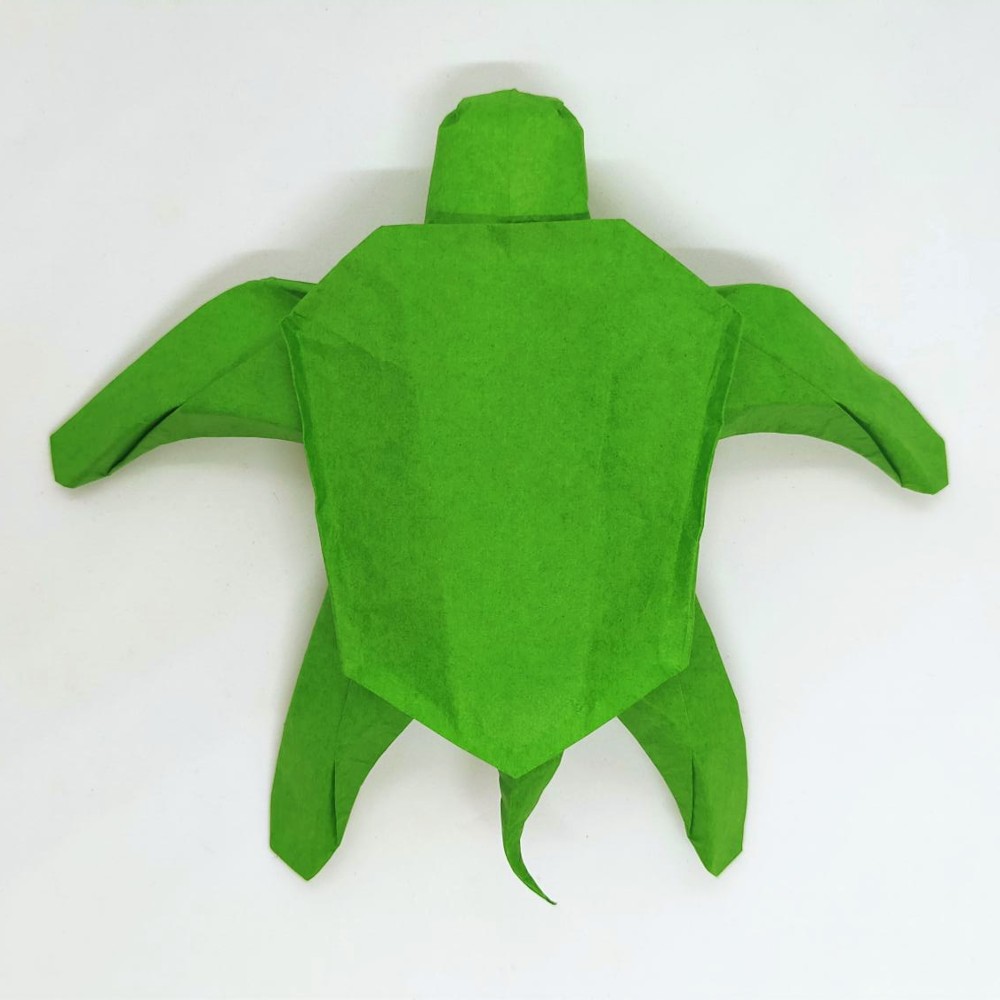 Vertebrate Designs | Origami Taxonomy
